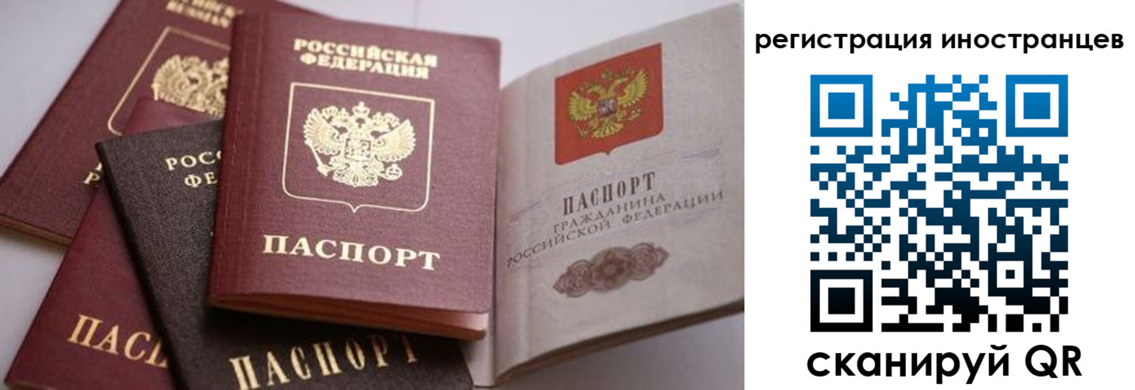 прописка штамп в Дмитрове