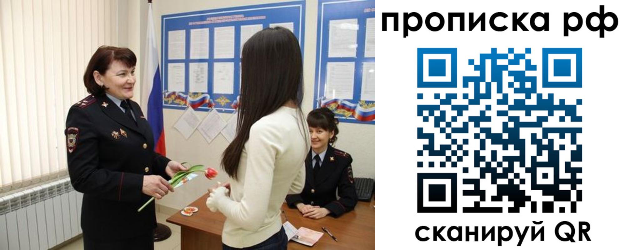 прописка в квартире в Дмитрове