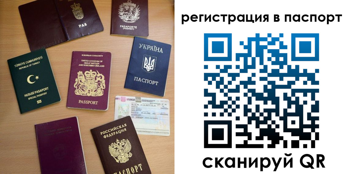 прописка поиск в Дмитрове